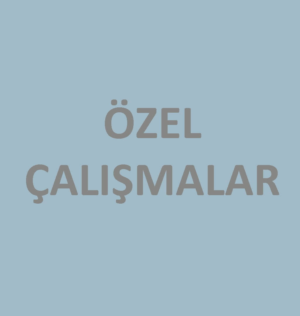 Özel Çalışmalar